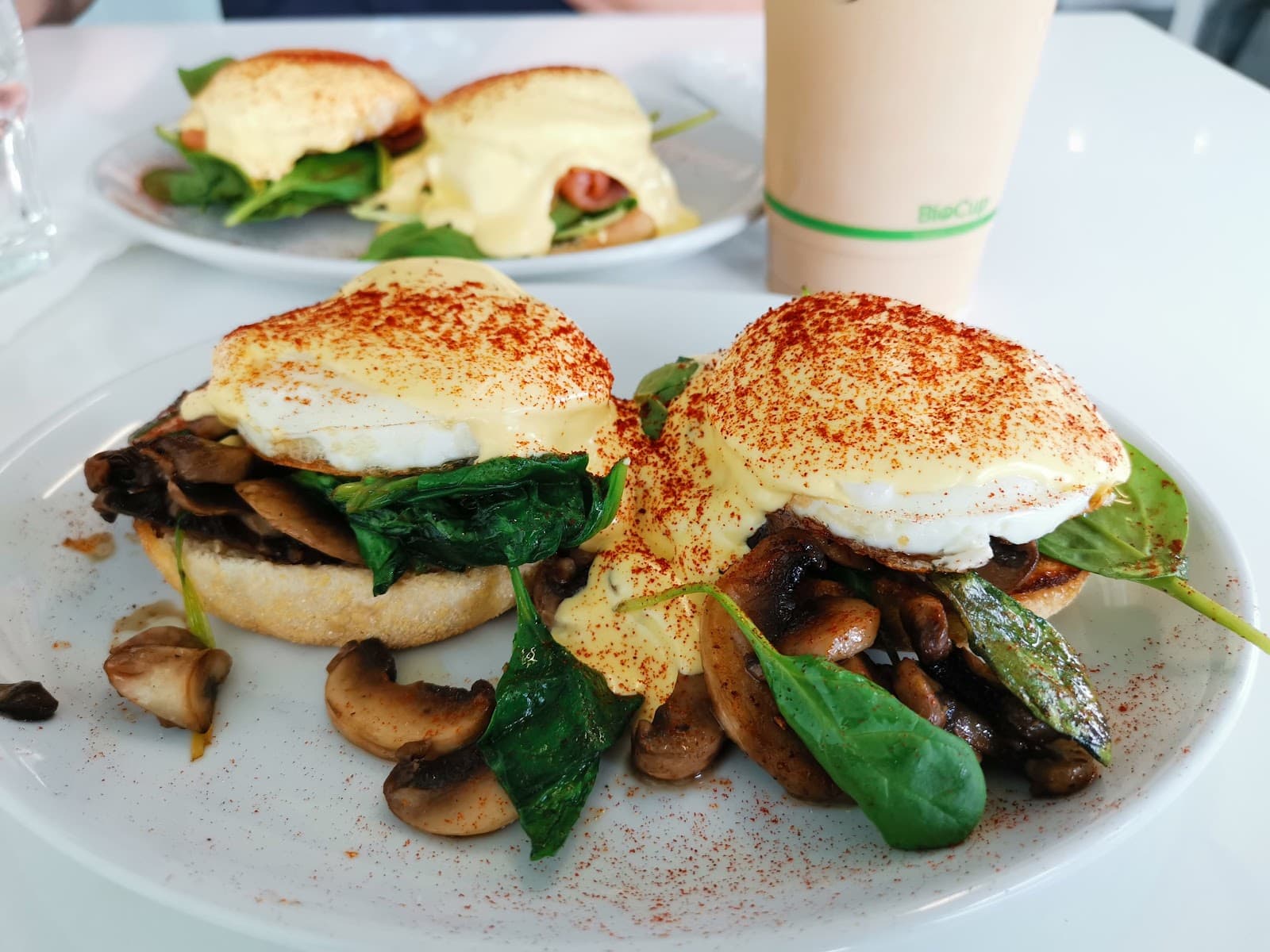 Pete & Paulz Breakfast Bar — Port Douglas, Cairns
