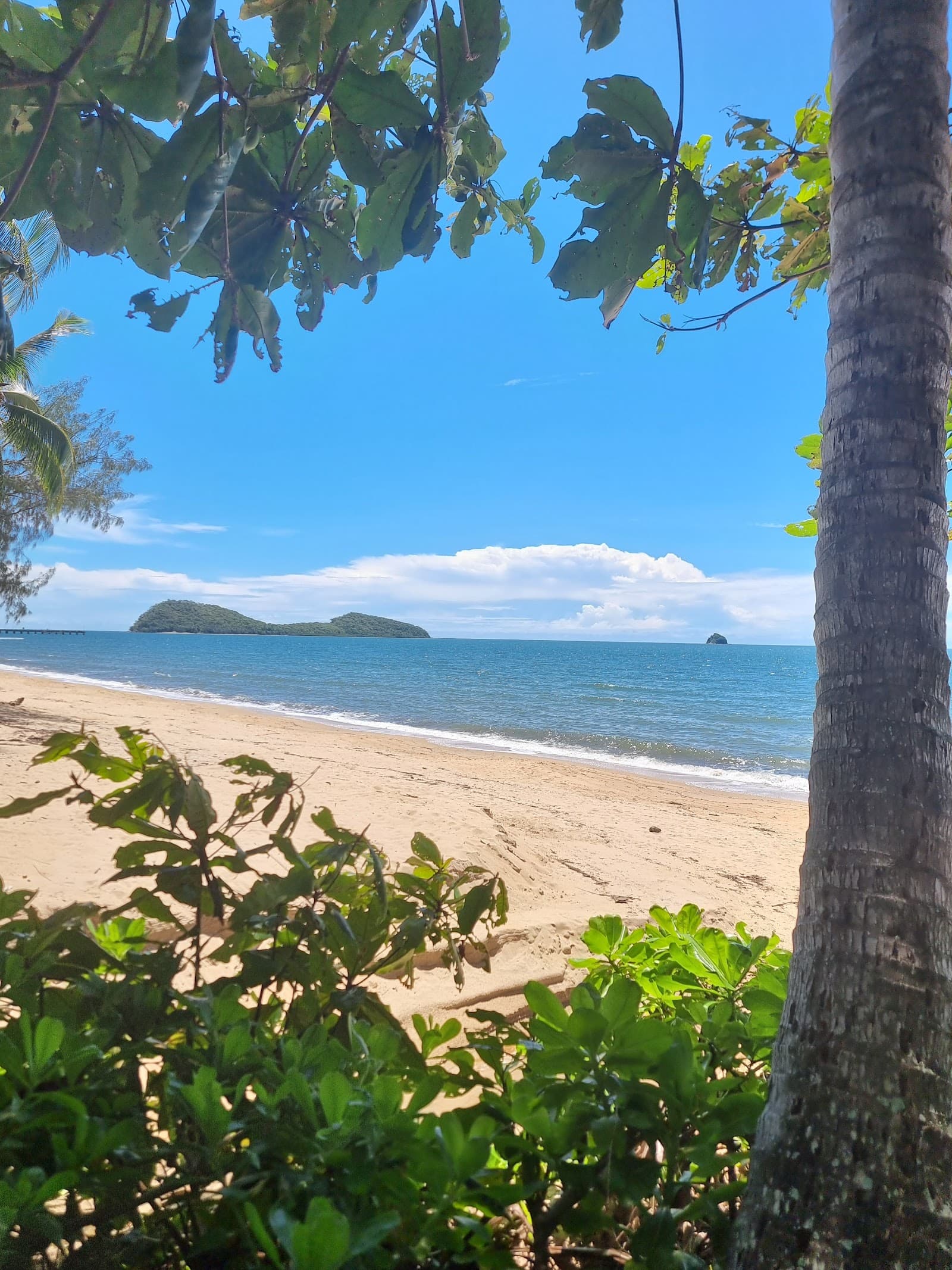Pete's Place — Palm Cove, Cairns