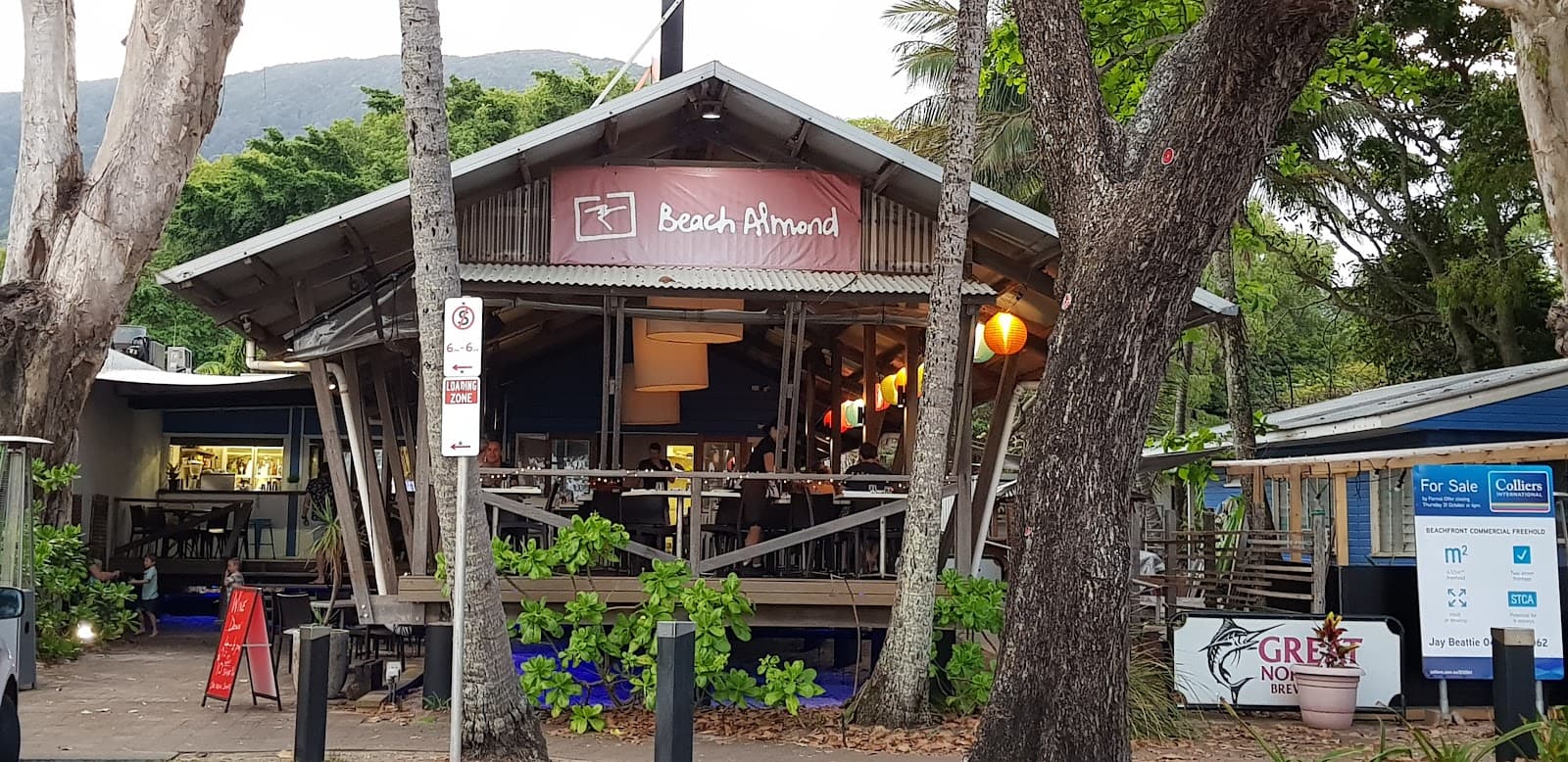 Beach Almond — Clifton Beach, Cairns