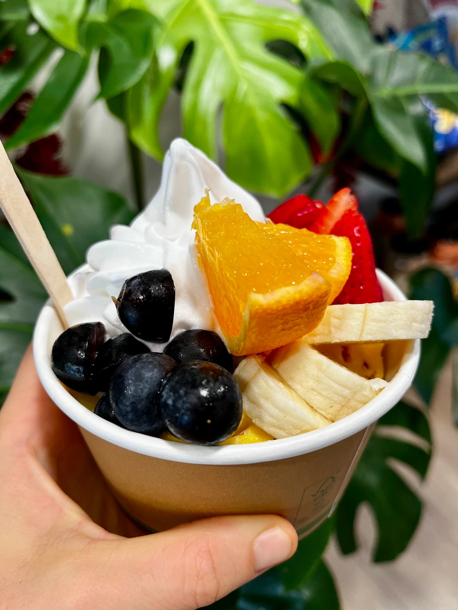 Nourish, Port Douglas — Port Douglas, Cairns