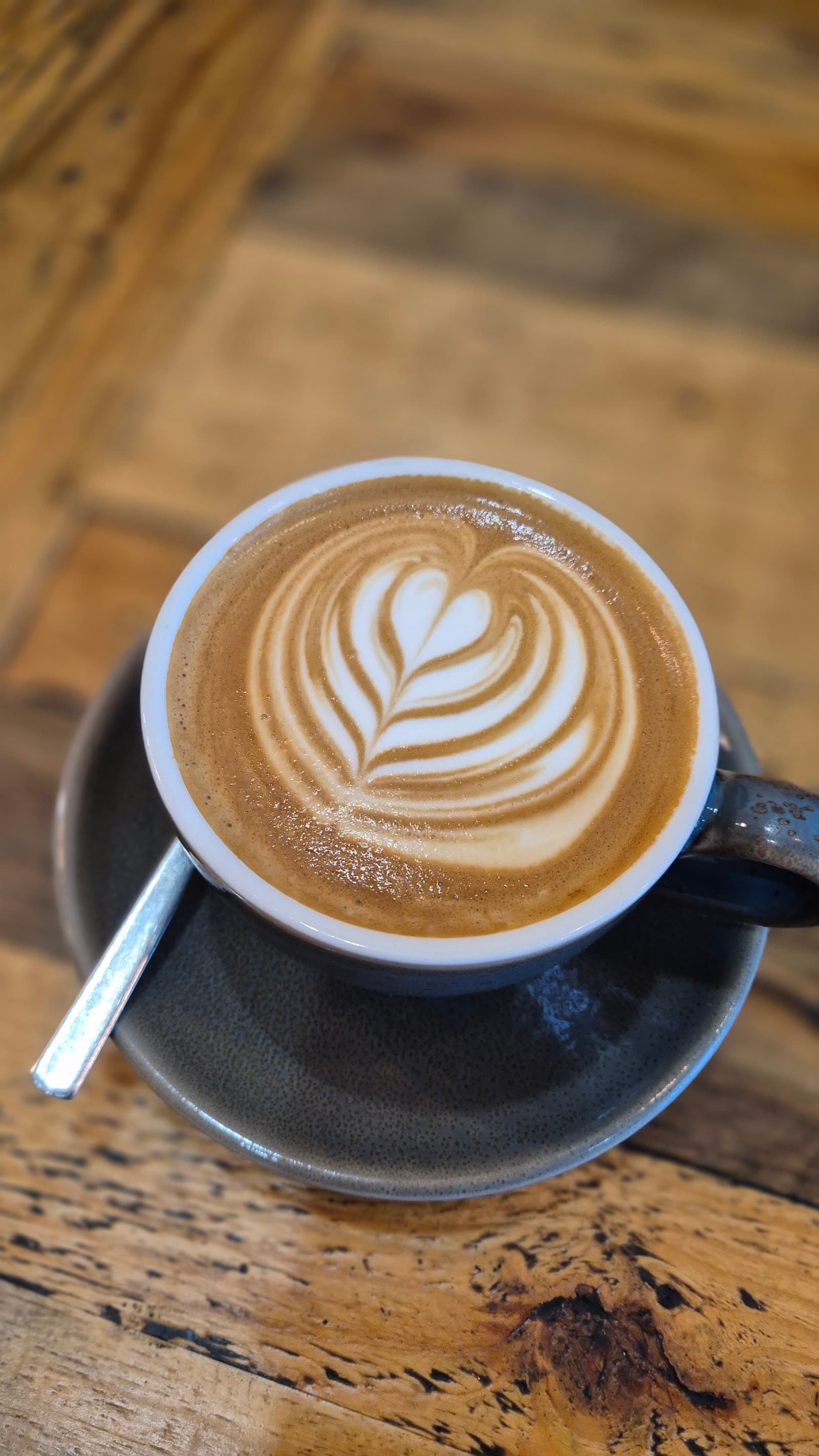 Toast Sandwich Bar — Port Douglas, Cairns