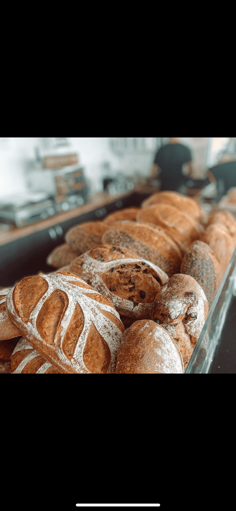 Wild Yeast FNQ — Holloways Beach, Cairns