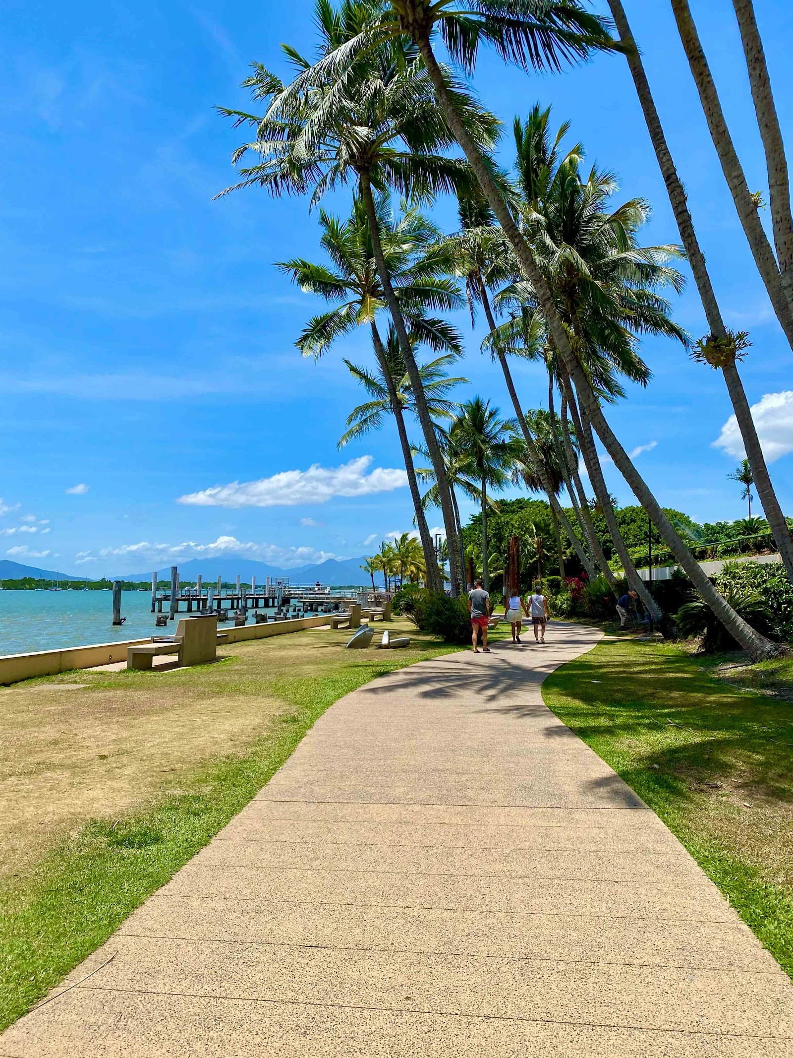 Sails — Cairns North, Cairns