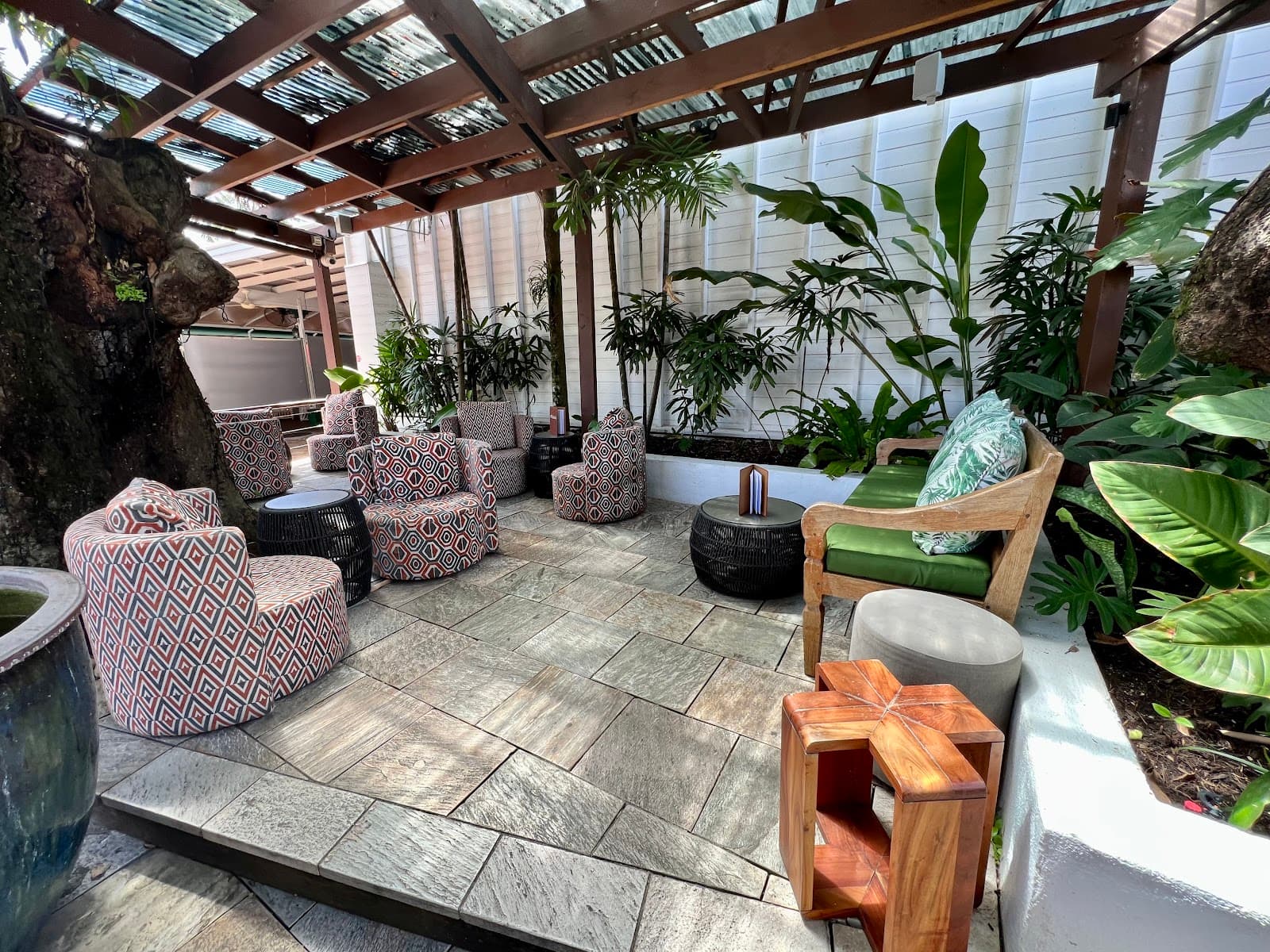 Melaleuca — Port Douglas, Cairns