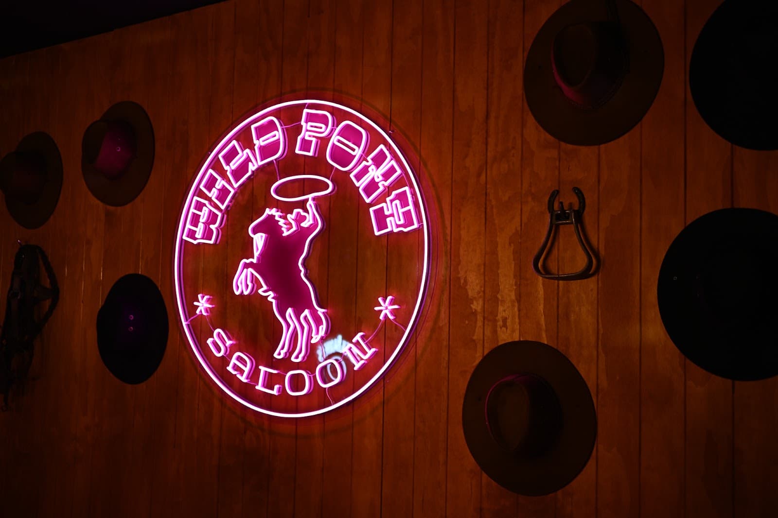 Wild Pony Saloon — Holloways Beach, Cairns