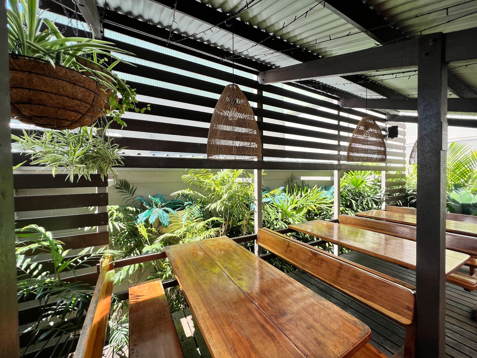 Rattle n Hum Cairns — Palm Cove, Cairns