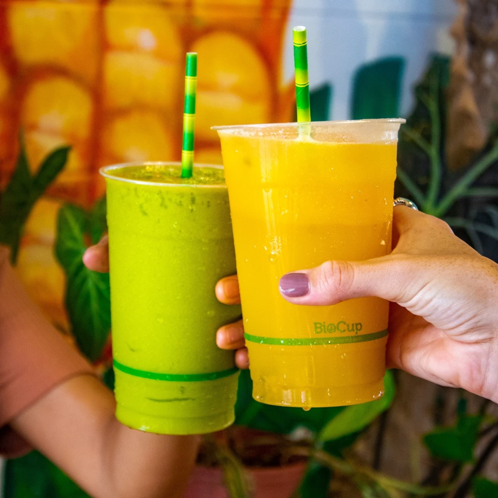 Fruibies Organic Juice Bar & Cafe Kuranda, Cairns — Kuranda, Cairns