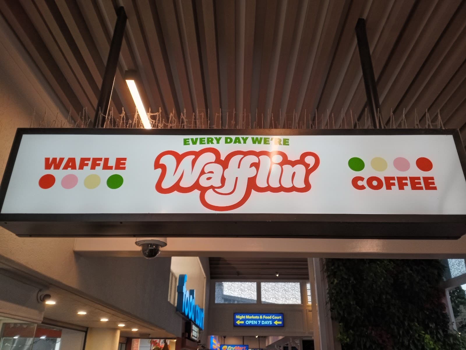 Wafflin' — Kuranda, Cairns