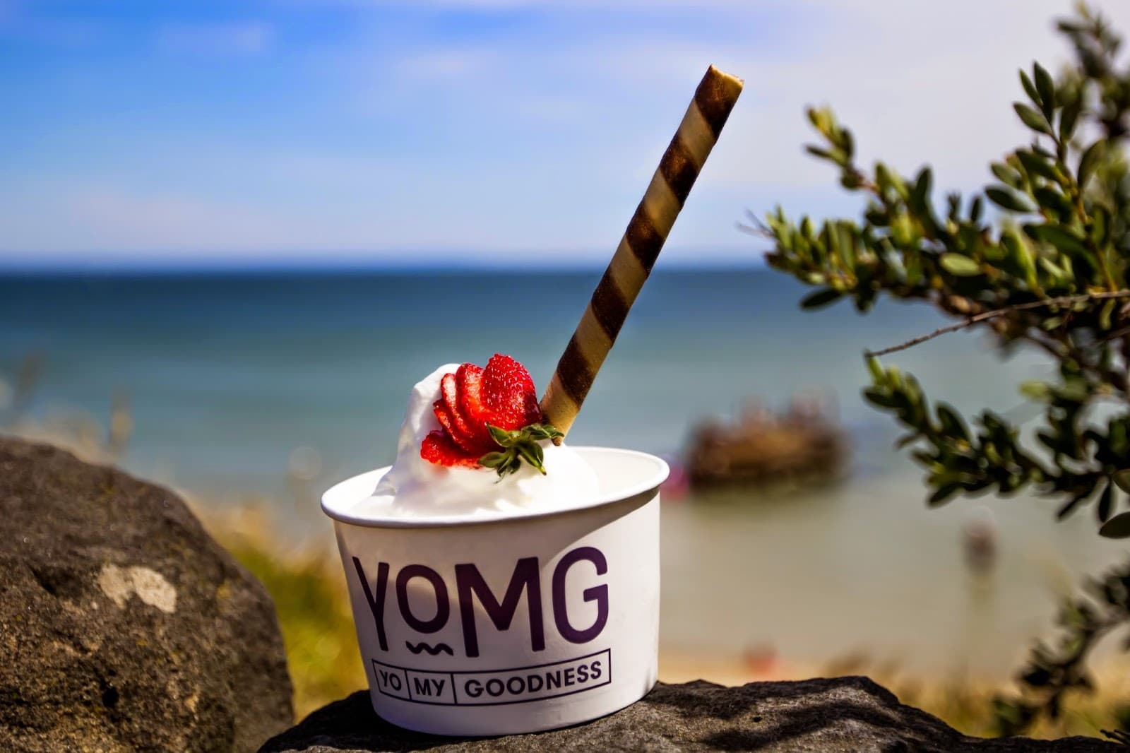 YOMG Cairns (Frozen Yogurt) — Smithfield, Cairns