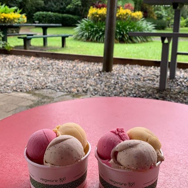 Daintree Ice Cream Company — Port Douglas, Cairns