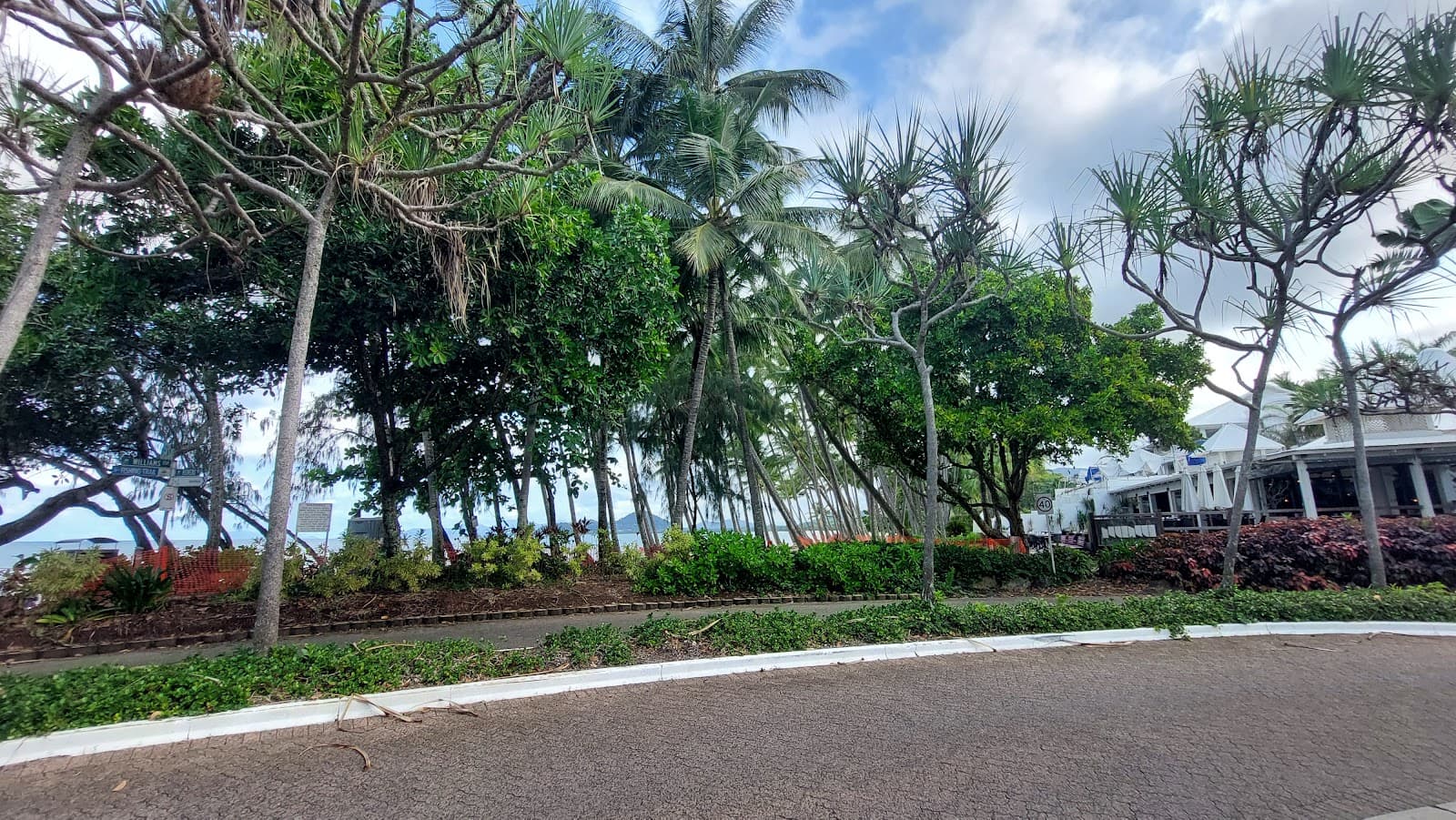 Palm Tree Tunnel — Palm Cove, Cairns