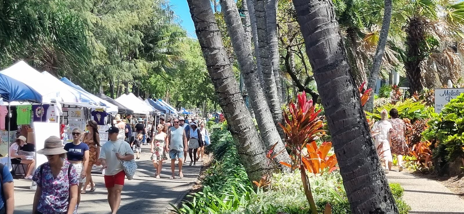 Palm Cove Markets — Holloways Beach, Cairns