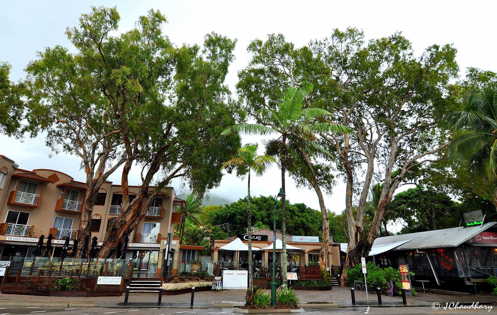 Ian Stephens Art Gallery - Palm Cove — Clifton Beach, Cairns