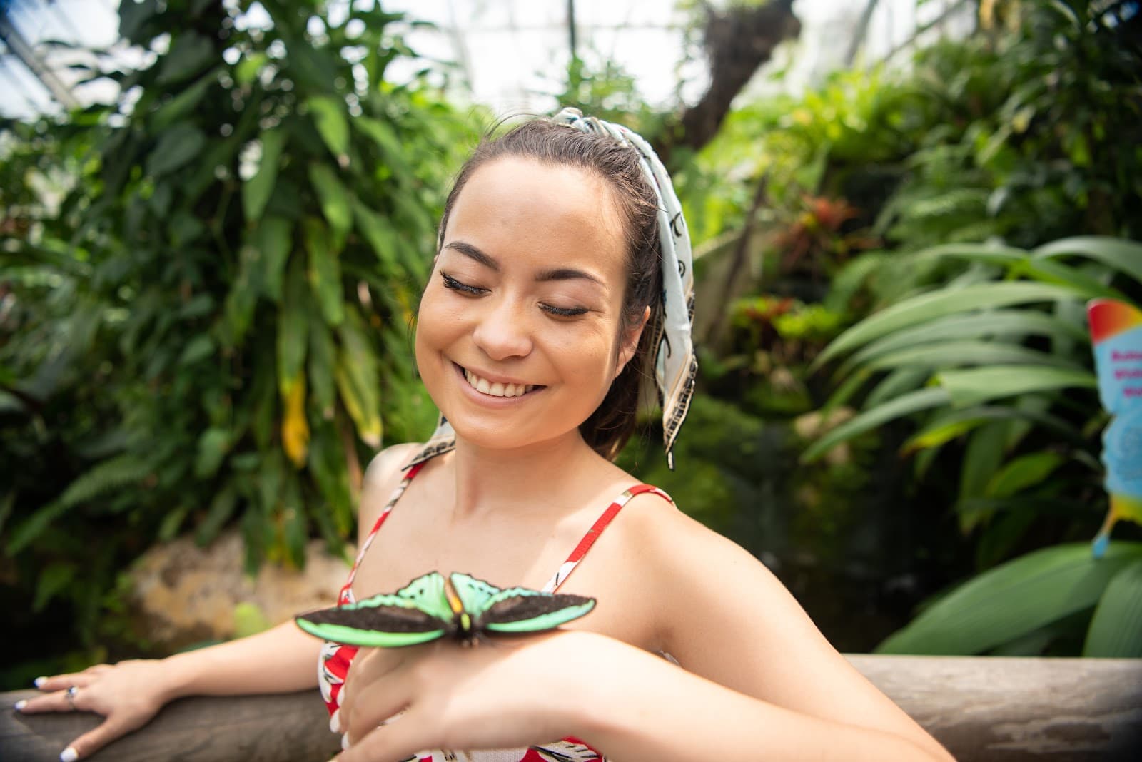 Australian Butterfly Sanctuary — Kuranda, Cairns