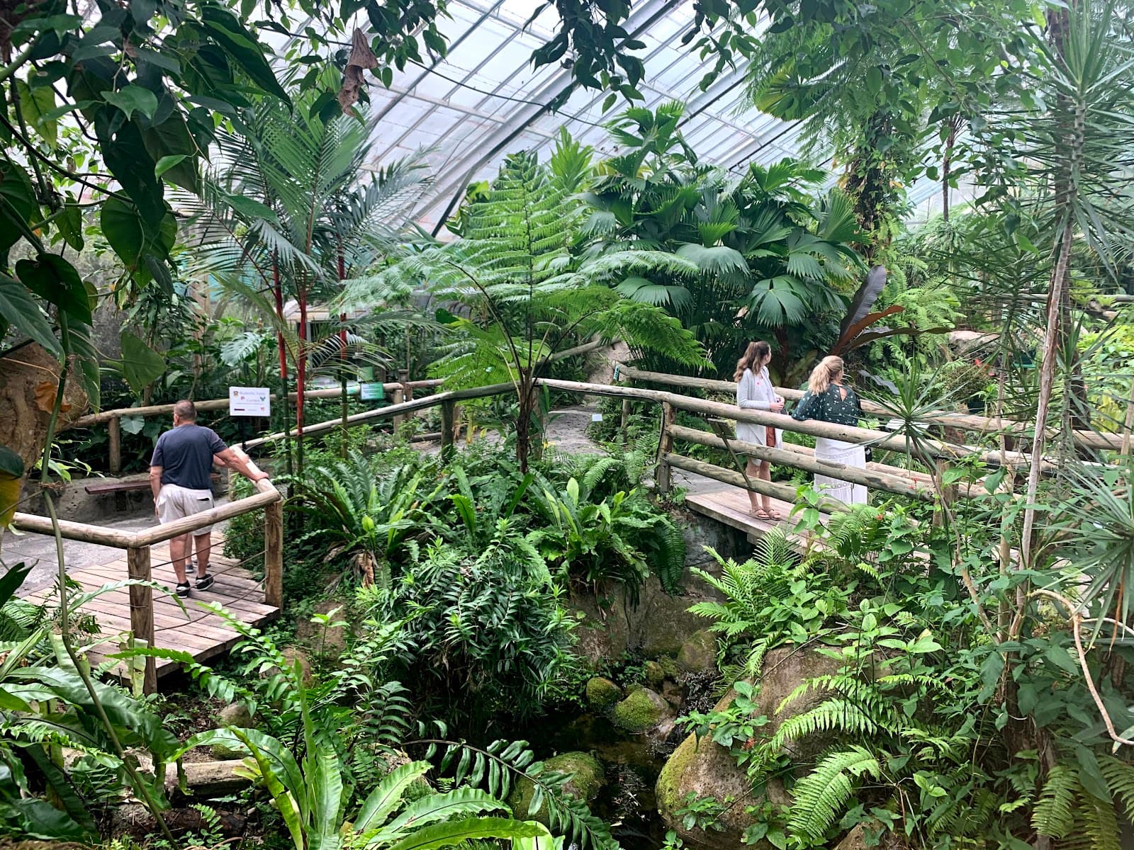 Australian Butterfly Sanctuary — Kuranda, Cairns