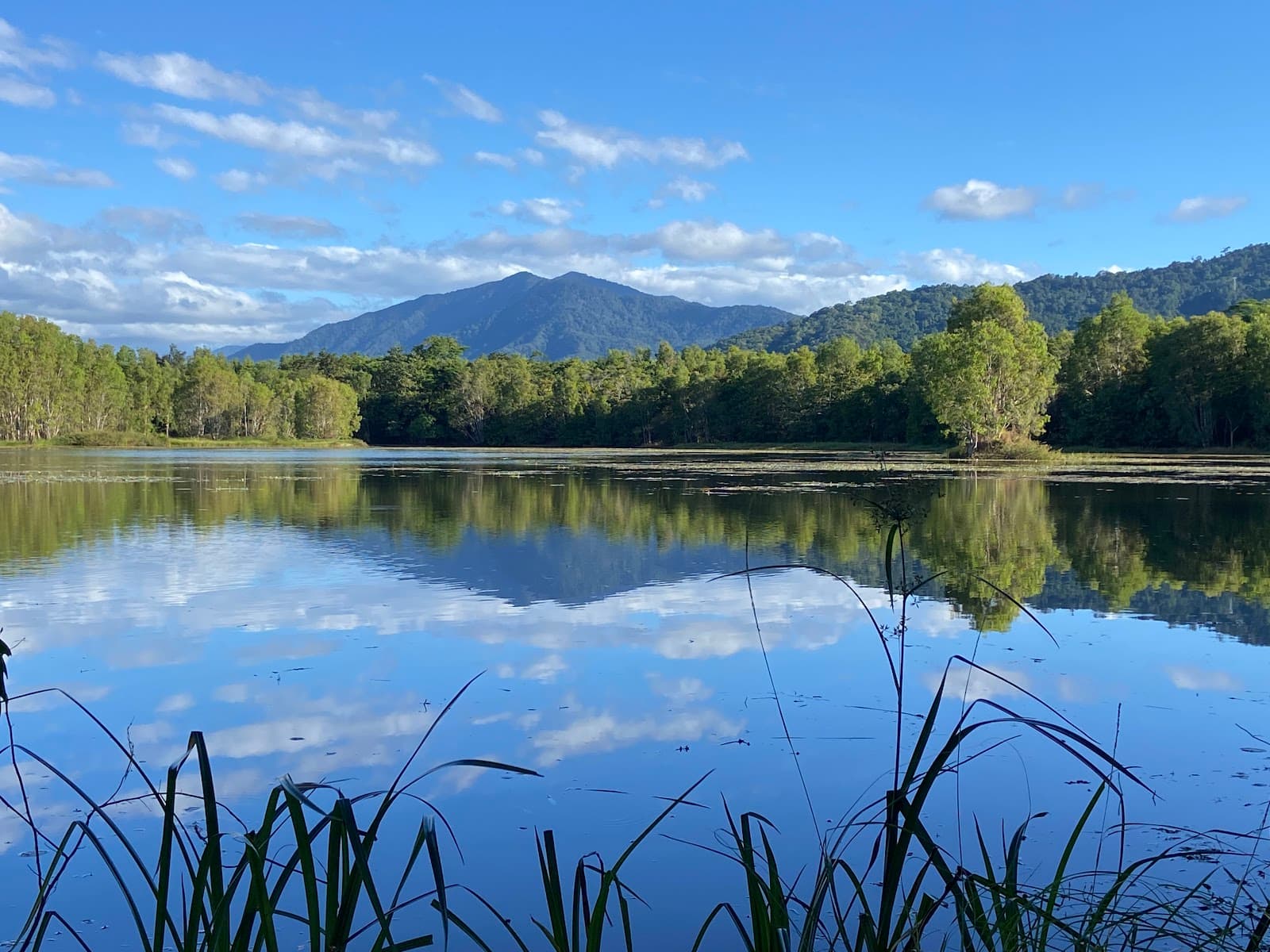Cairns Cattana Wetlands — Smithfield, Cairns