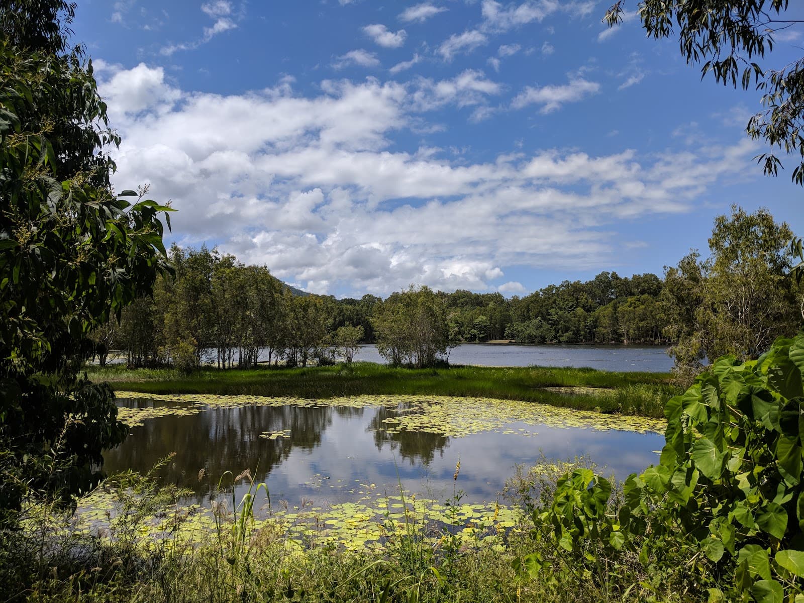 Cairns Cattana Wetlands — Smithfield, Cairns