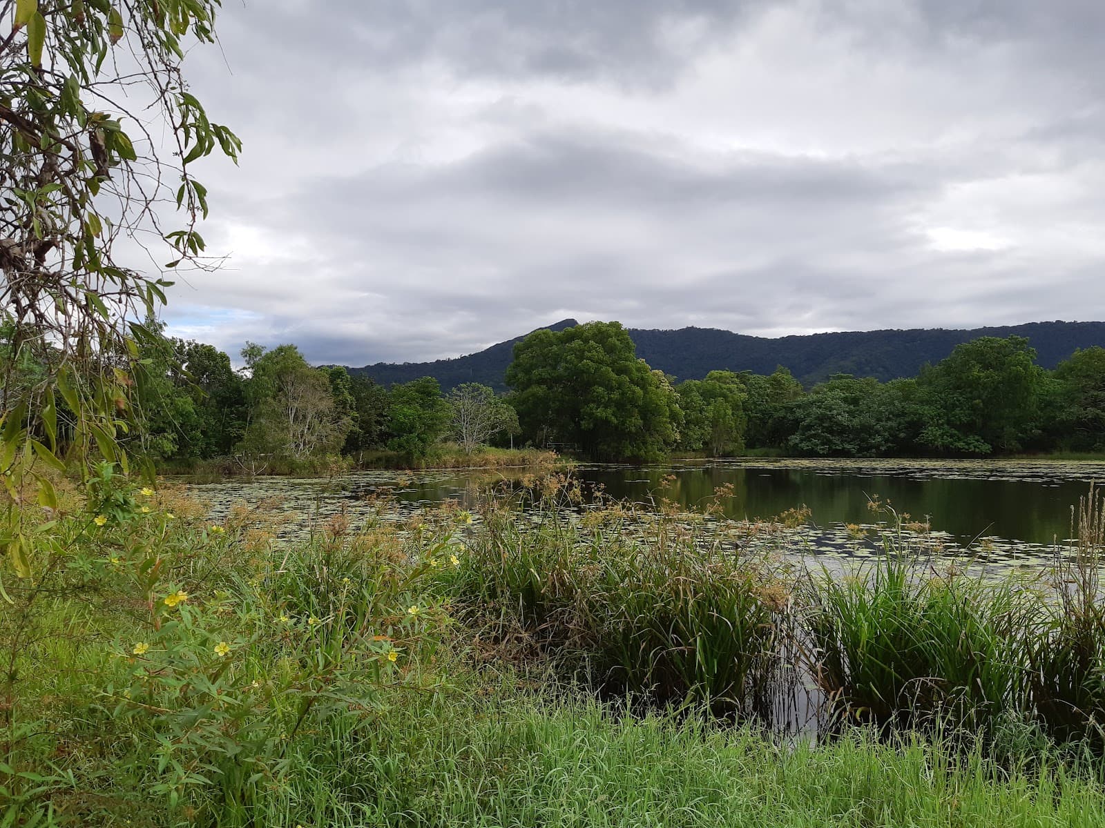 Cairns Cattana Wetlands — Smithfield, Cairns