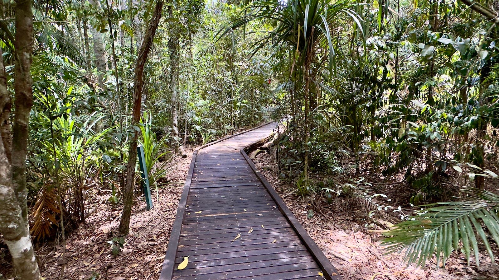 Jumrum Creek Conservation Park — Kuranda, Cairns