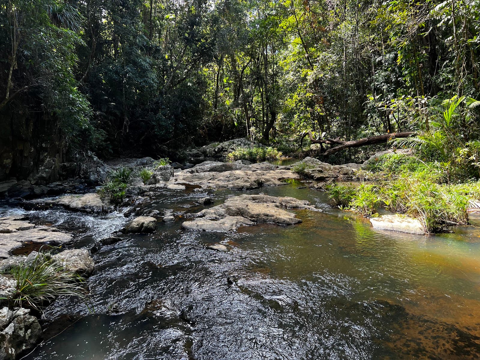 Jumrum Creek Conservation Park — Kuranda, Cairns