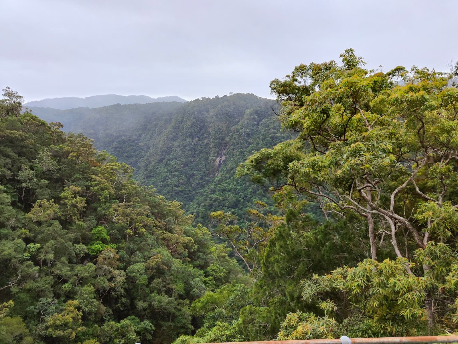 Jumrum Creek Conservation Park — Kuranda, Cairns