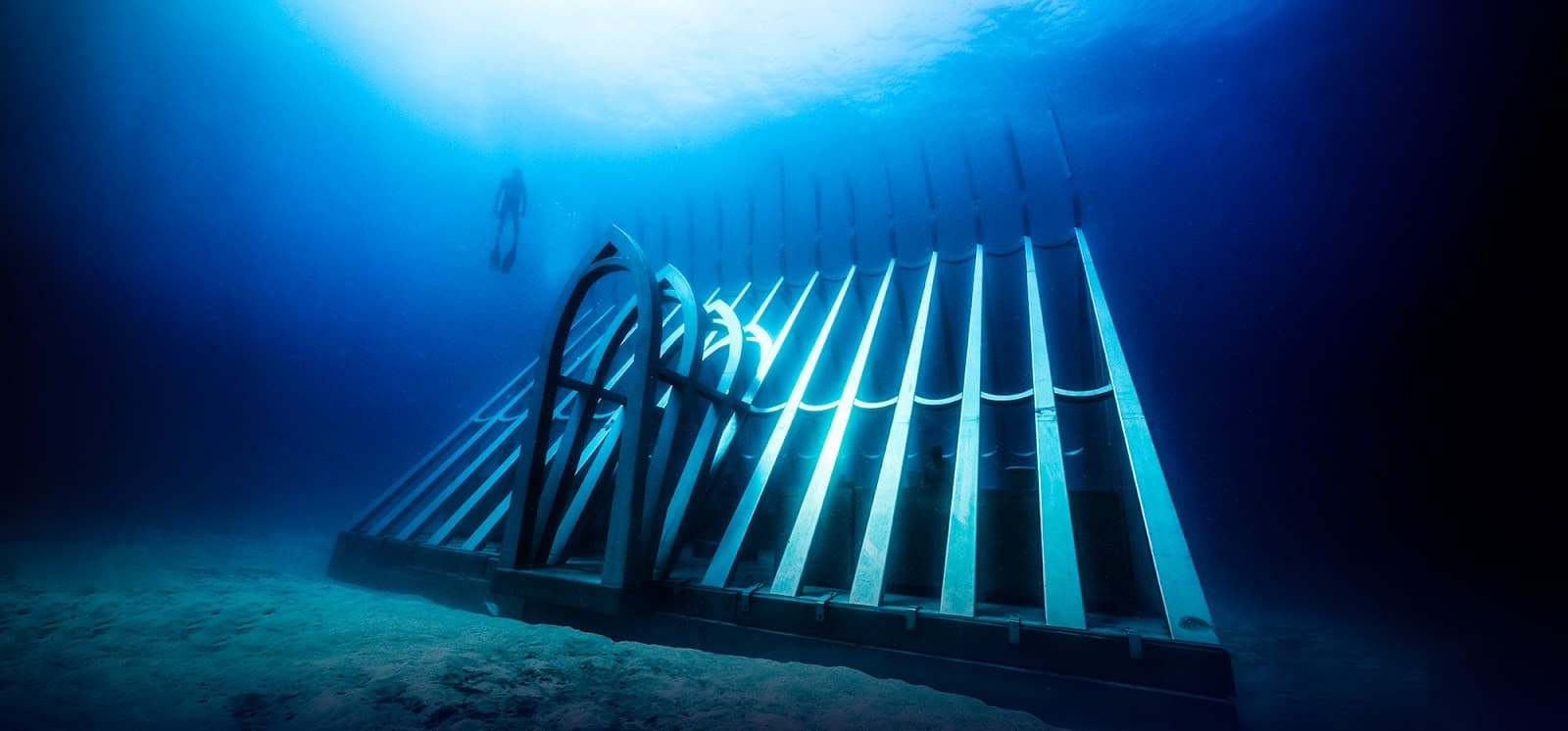 Coral Greenhouse & Ocean Sentinels / MOUA / Museum of Underwater Art — Palm Cove, Cairns