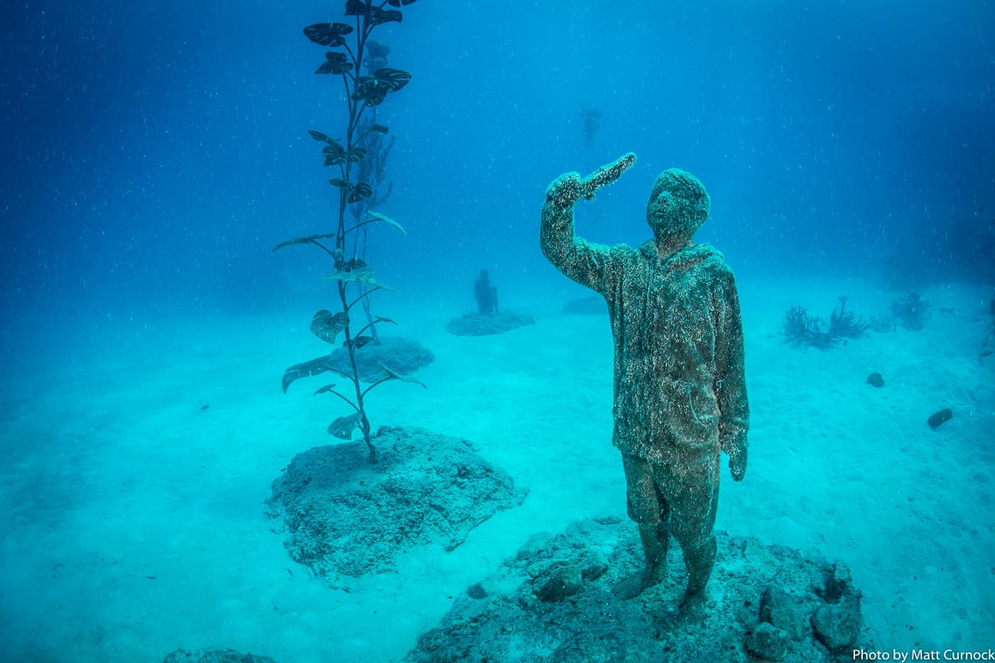 Coral Greenhouse & Ocean Sentinels / MOUA / Museum of Underwater Art — Palm Cove, Cairns