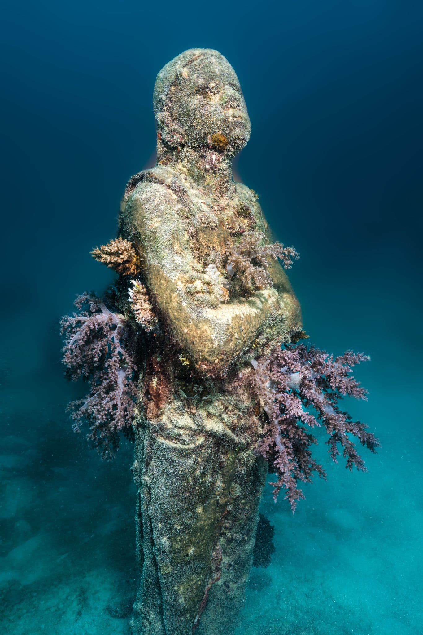 Coral Greenhouse & Ocean Sentinels / MOUA / Museum of Underwater Art — Palm Cove, Cairns