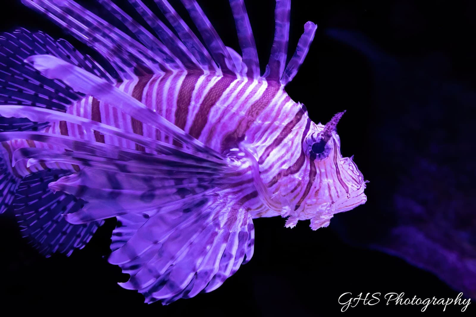 Cairns Aquarium — Smithfield, Cairns