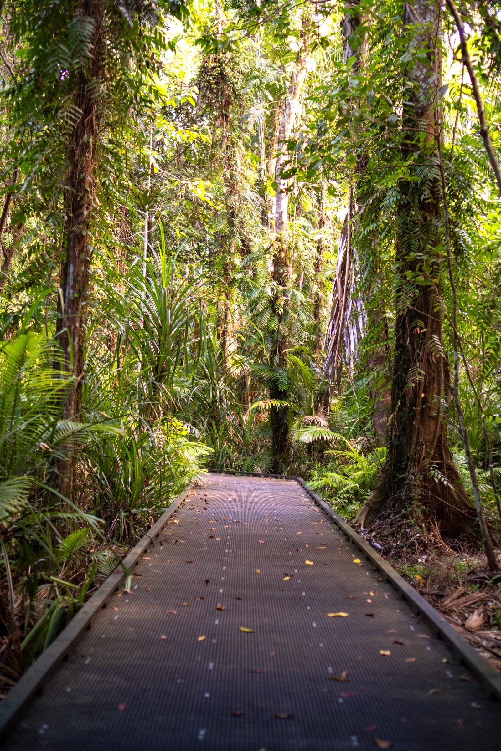 Botanical gardens — Edge Hill, Cairns