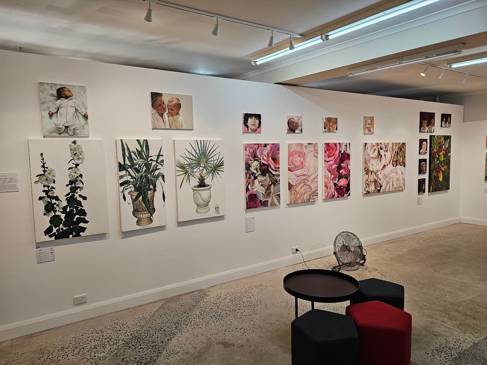 Artview Gallery — Smithfield, Cairns