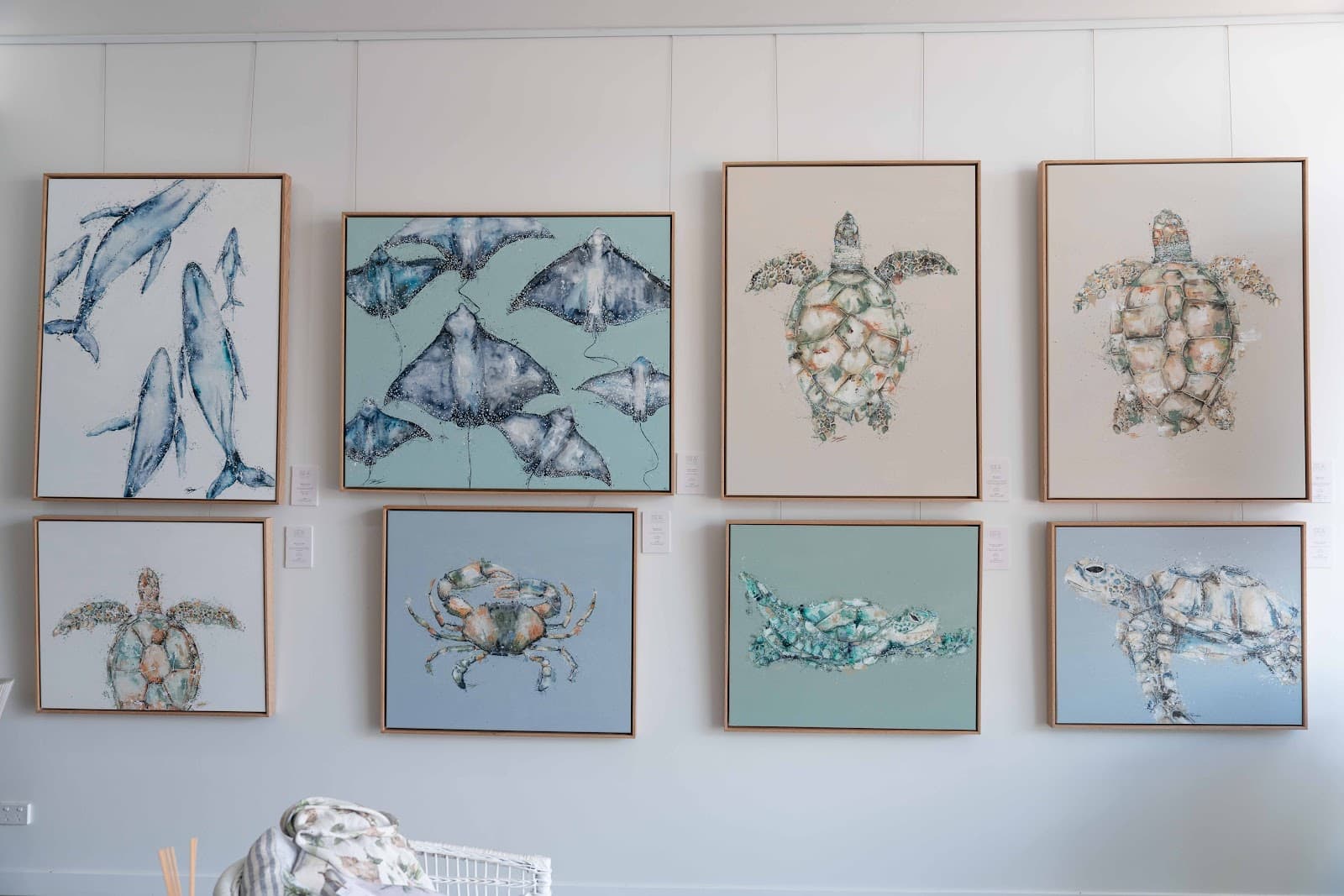 SEA Gallery — Port Douglas, Cairns