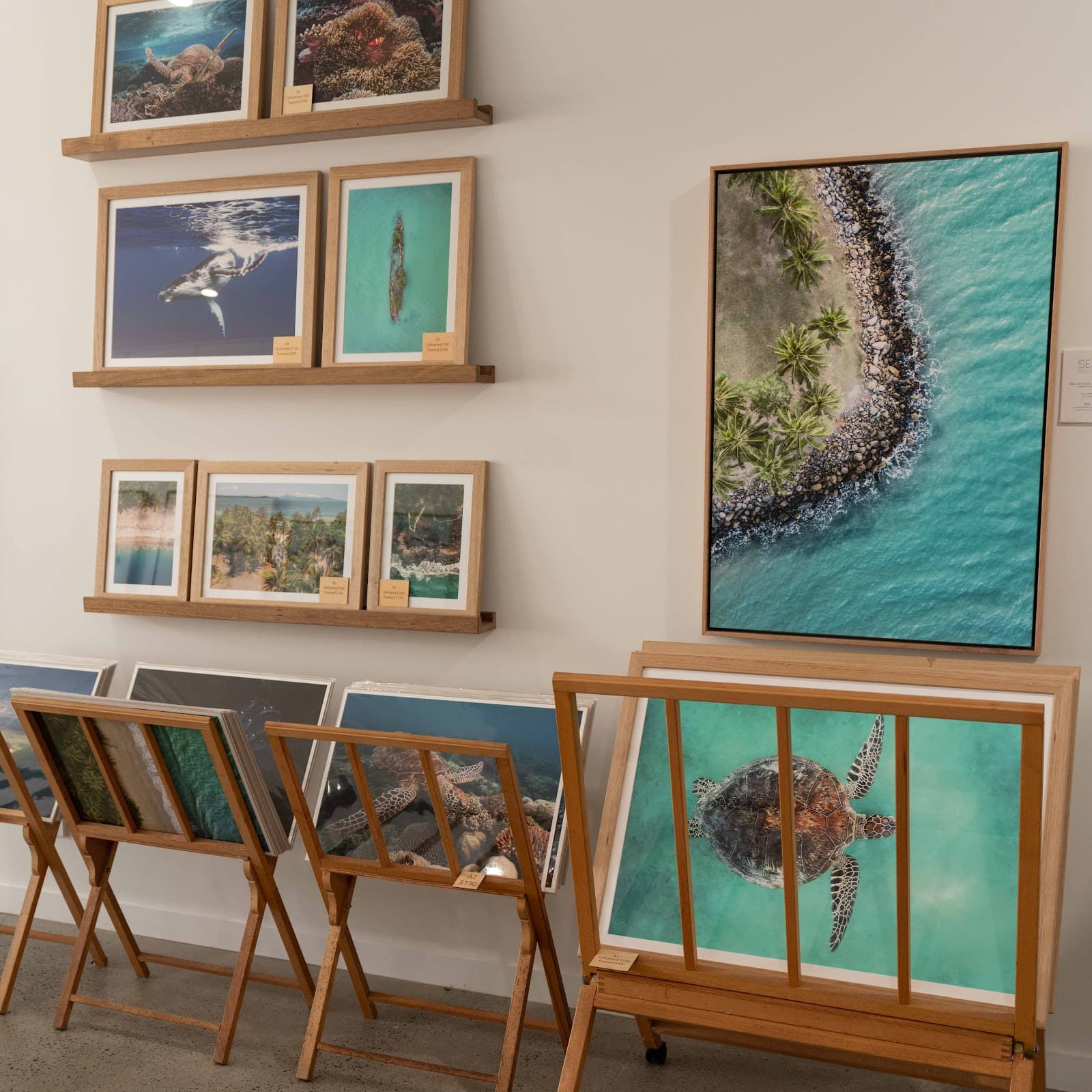 SEA Gallery — Port Douglas, Cairns
