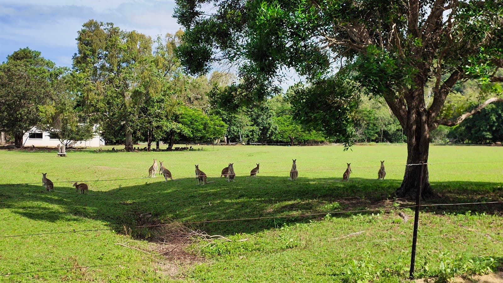 Centenary Park — Clifton Beach, Cairns