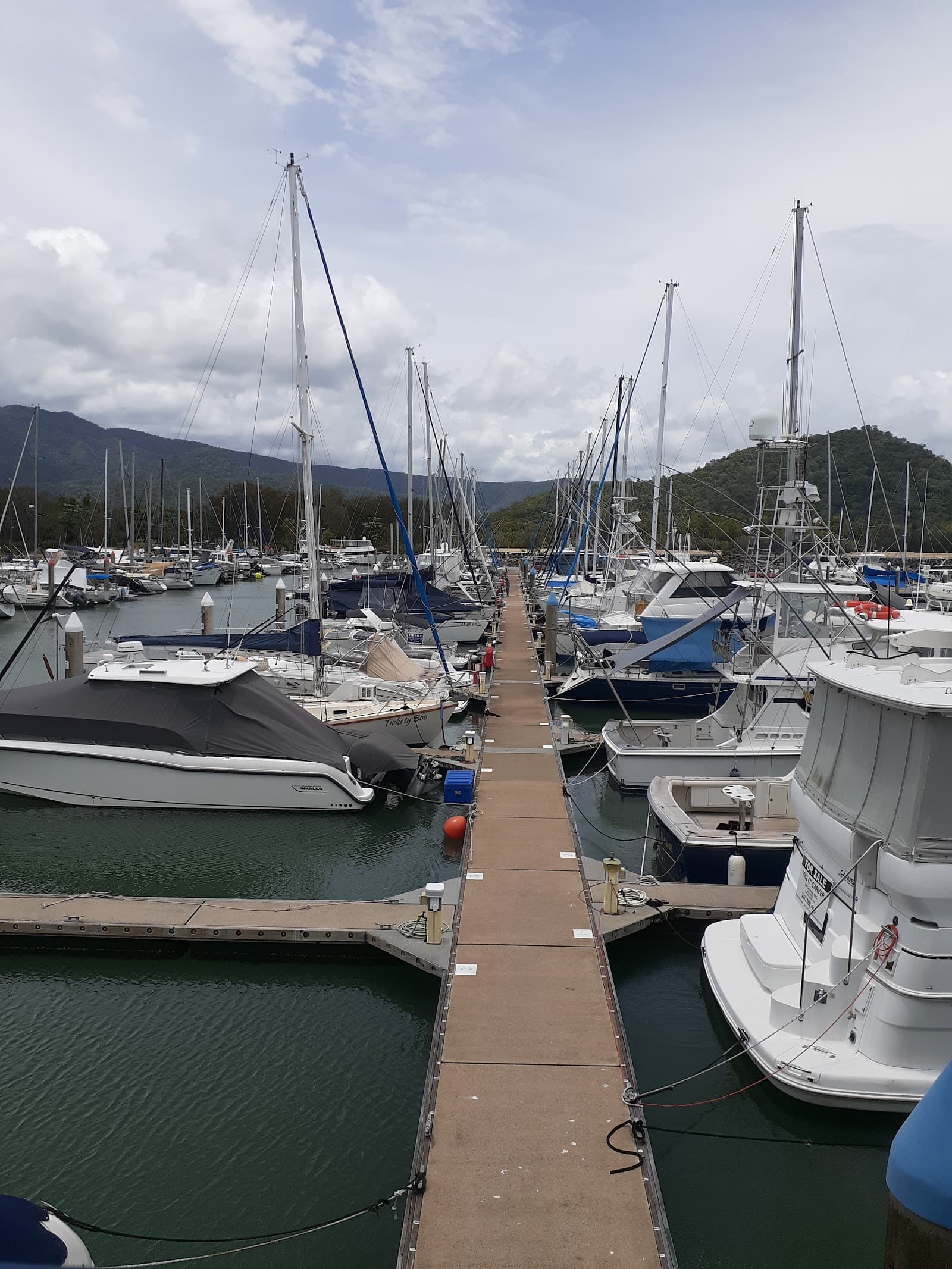 Rainy Mountain Park — Smithfield, Cairns