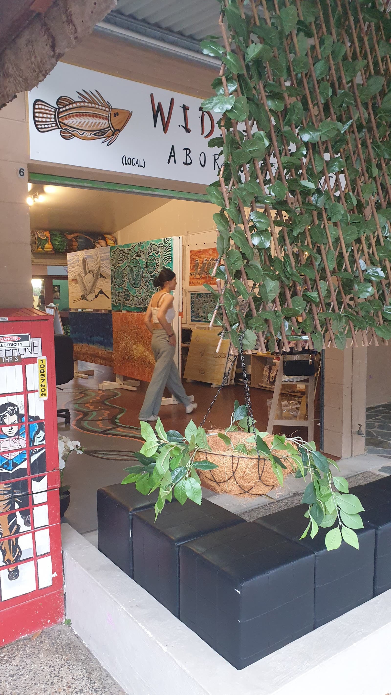 WidiWorks Aboriginal Art Gallery — Kuranda, Cairns