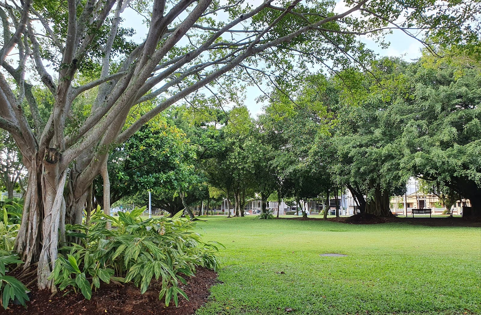 Fogarty Park — Cairns City, Cairns
