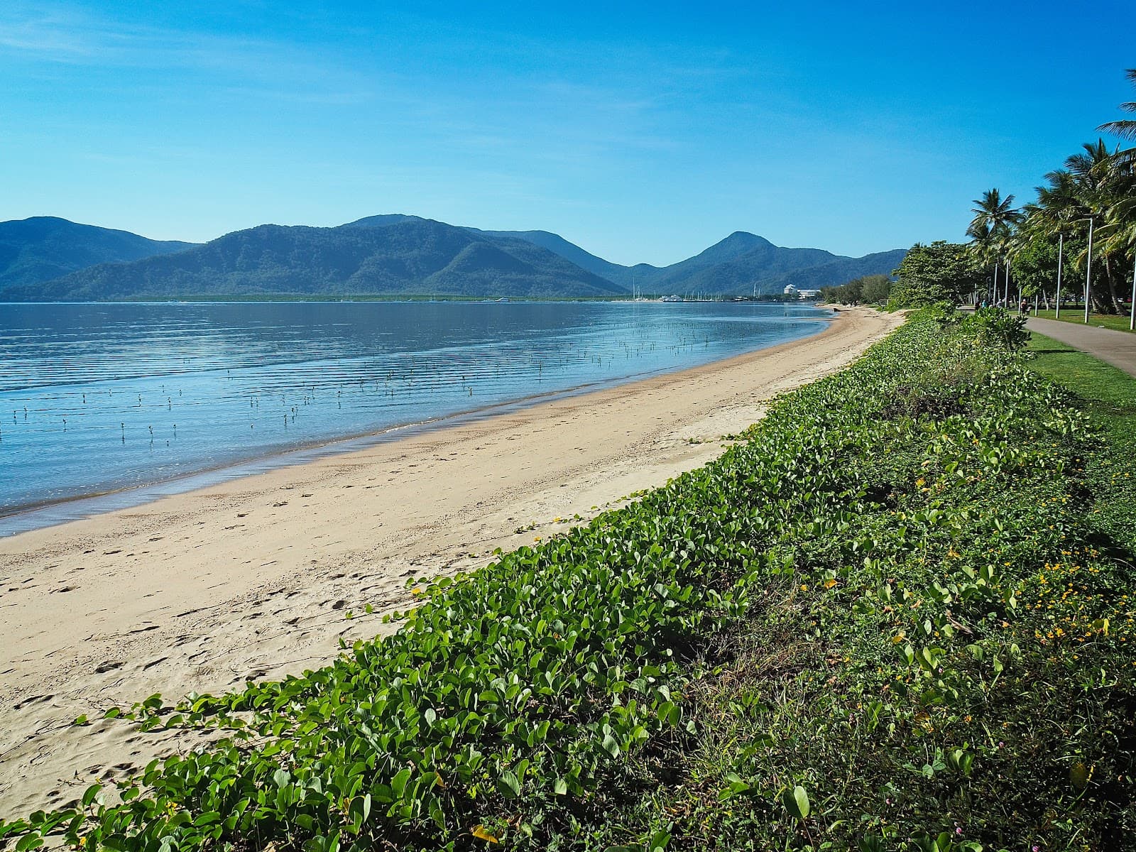Cairns Esplanade McKenzie Street Parkland — Cairns North, Cairns