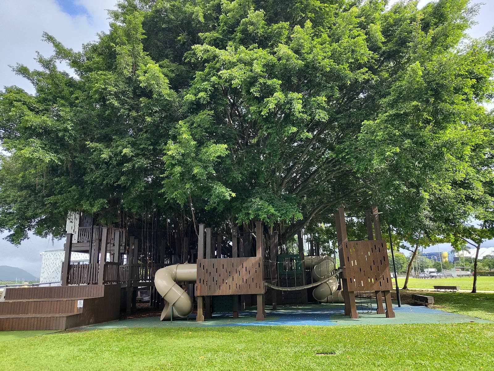 Fig Tree Play Ground — Cairns North, Cairns