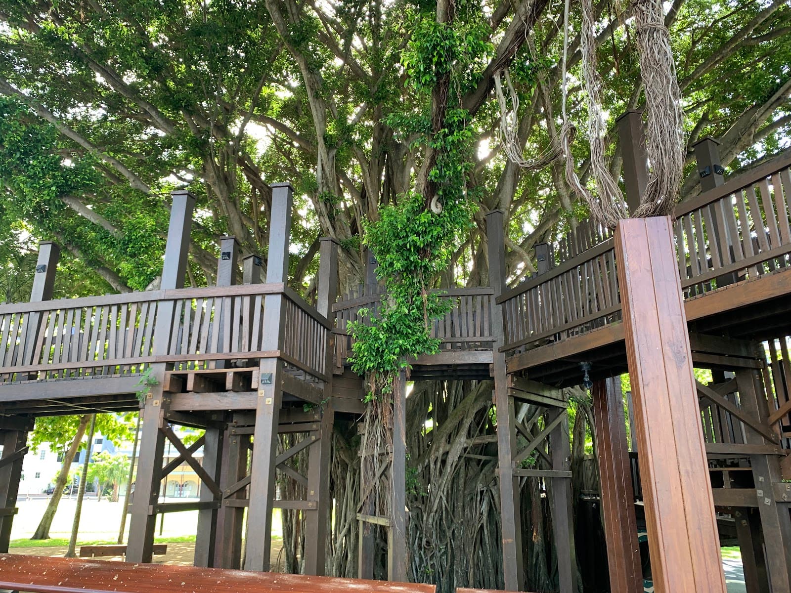 Fig Tree Play Ground — Cairns North, Cairns