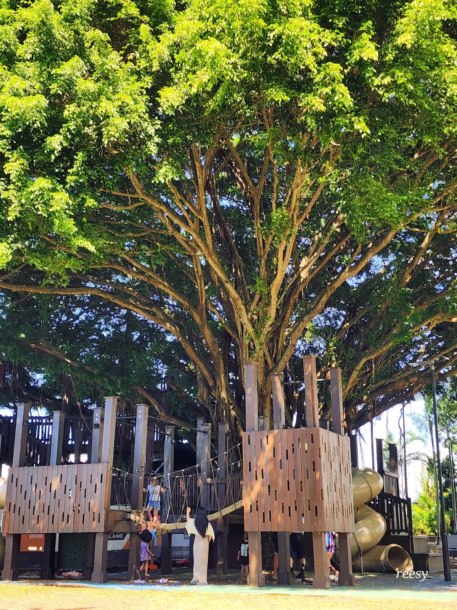 Fig Tree Play Ground — Cairns North, Cairns