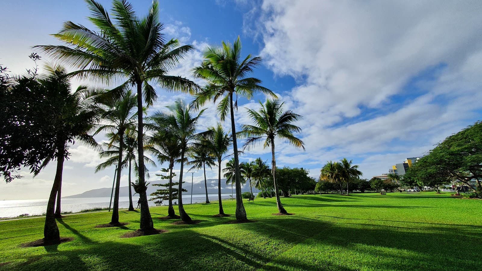 Cairns Esplanade Withrington Parkland — Cairns North, Cairns
