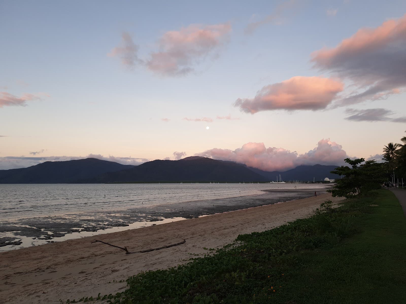 Cairns Esplanade Withrington Parkland — Cairns North, Cairns