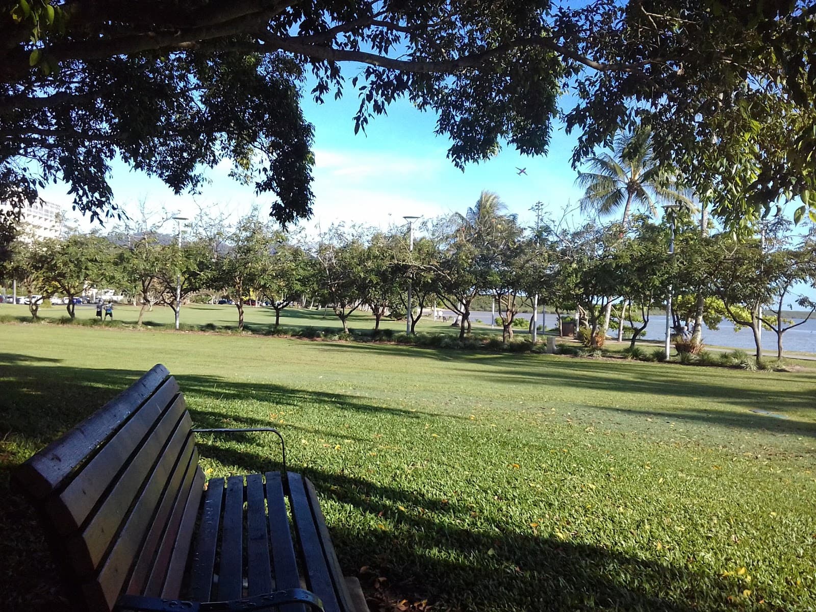 Cairns Esplanade Withrington Parkland — Cairns North, Cairns