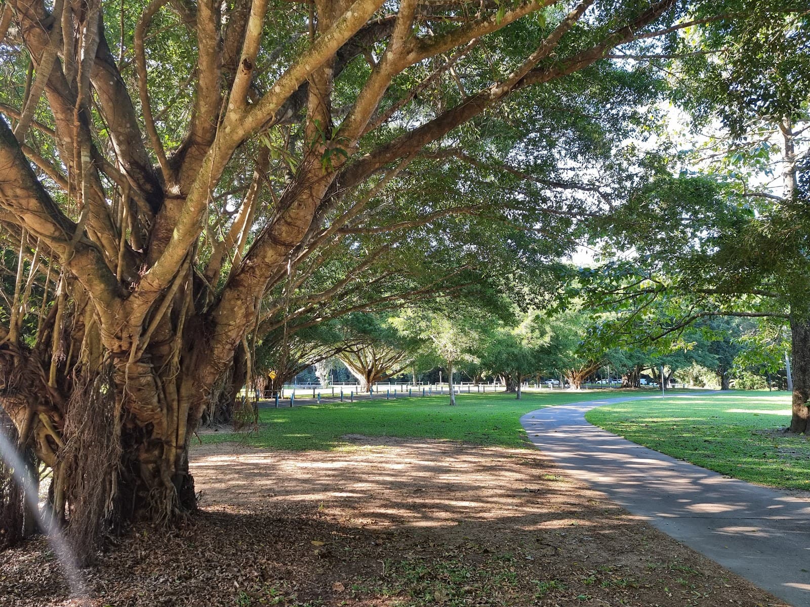 Goomboora Park — Trinity Beach, Cairns