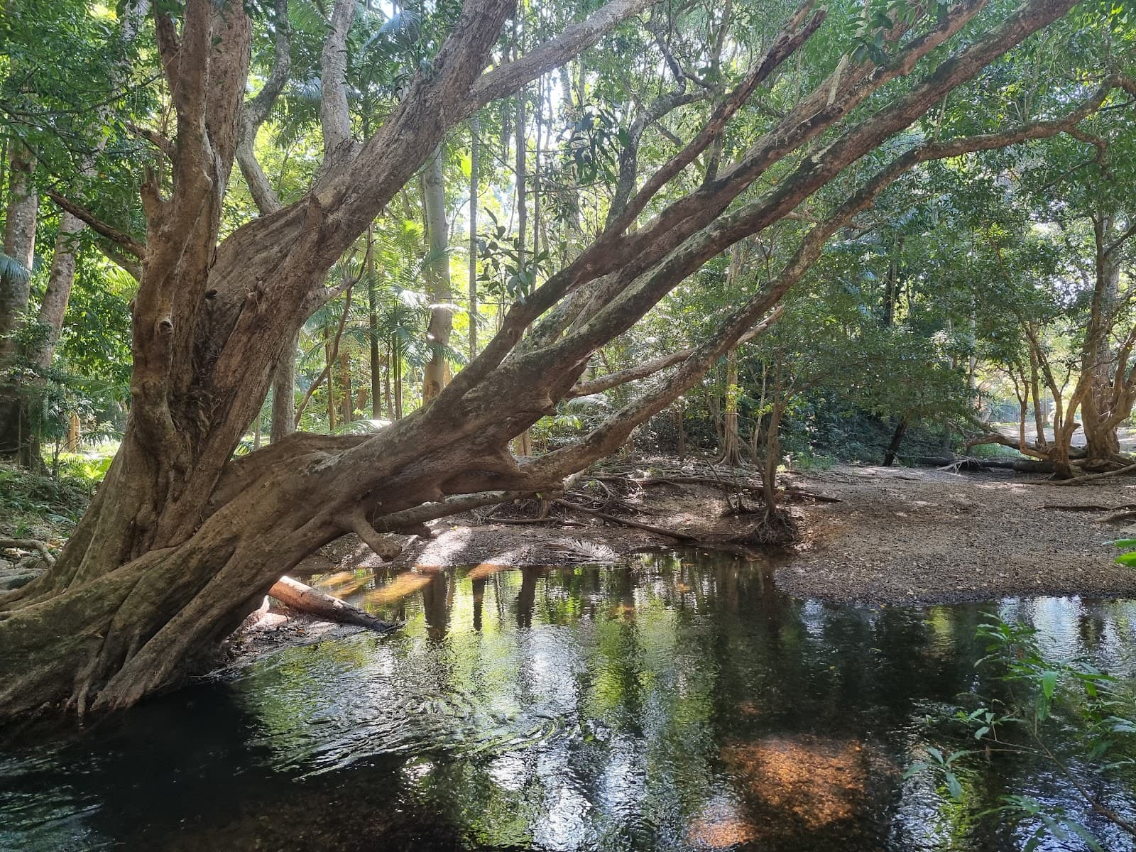 Goomboora Park — Trinity Beach, Cairns