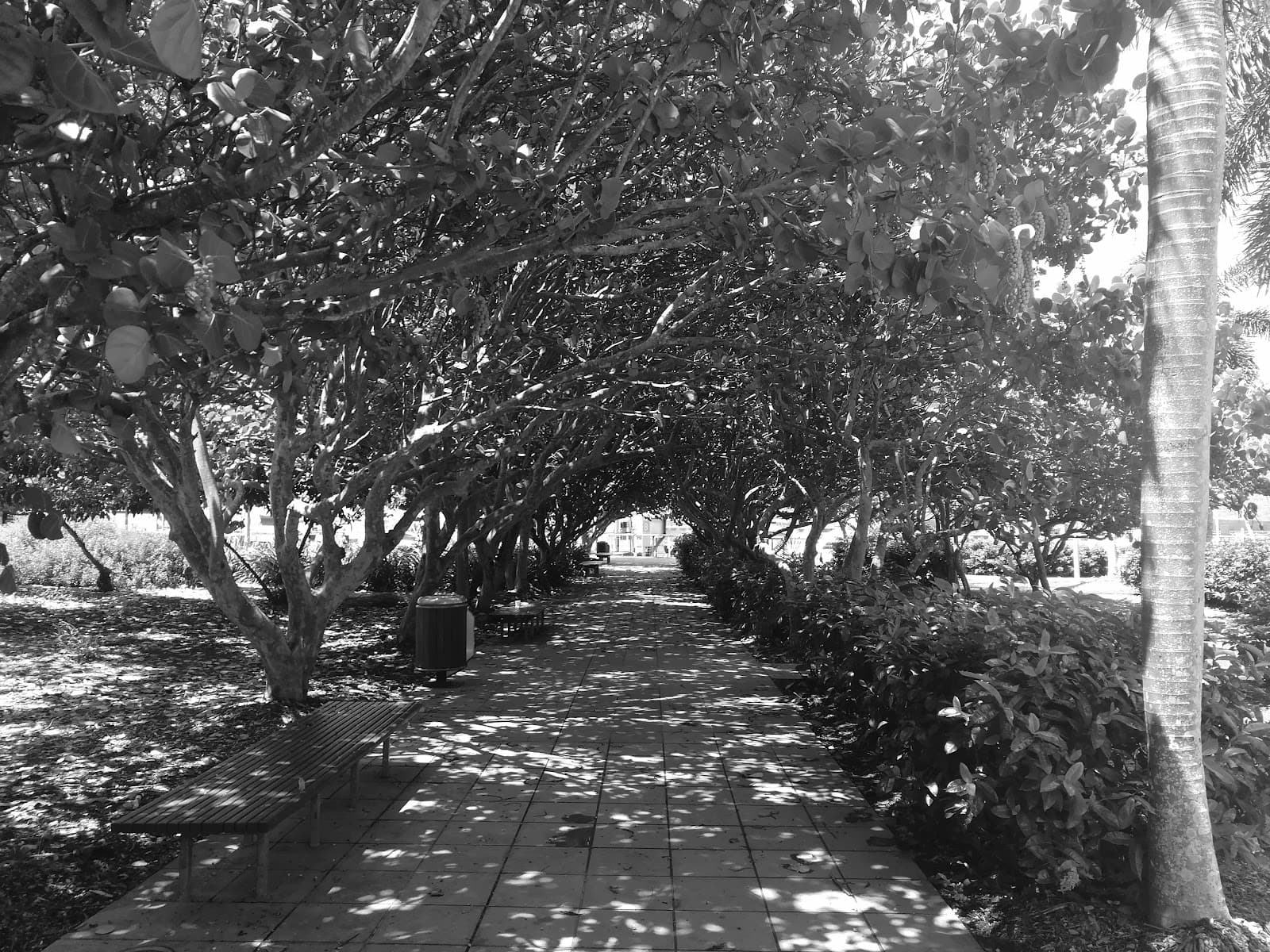 Cairns harbor scenic walkway — Cairns City, Cairns