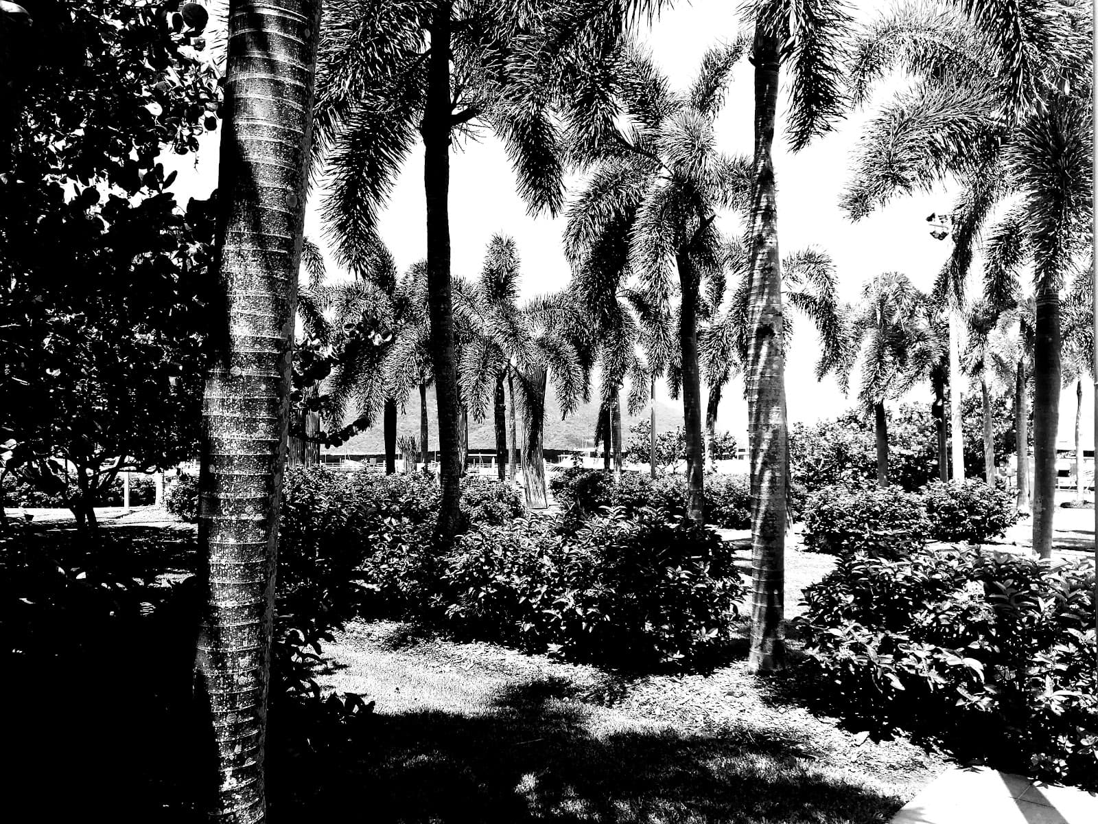 Cairns harbor scenic walkway — Cairns City, Cairns