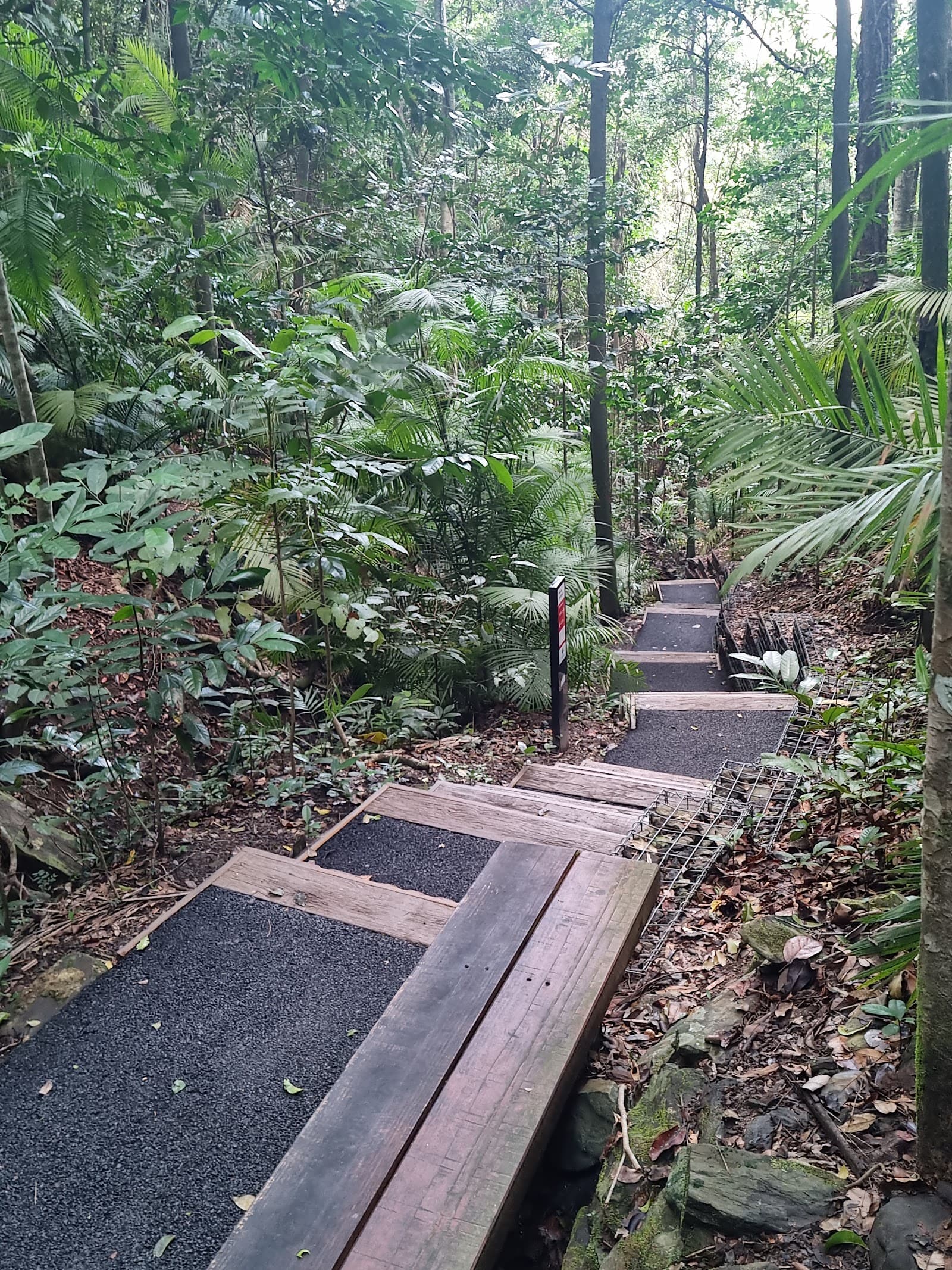 Mount Whitfield Conservation Park — Edge Hill, Cairns