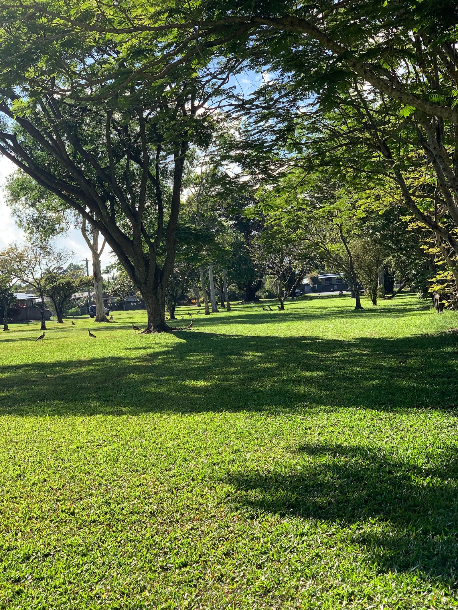 Purbeck Place Park — Edge Hill, Cairns